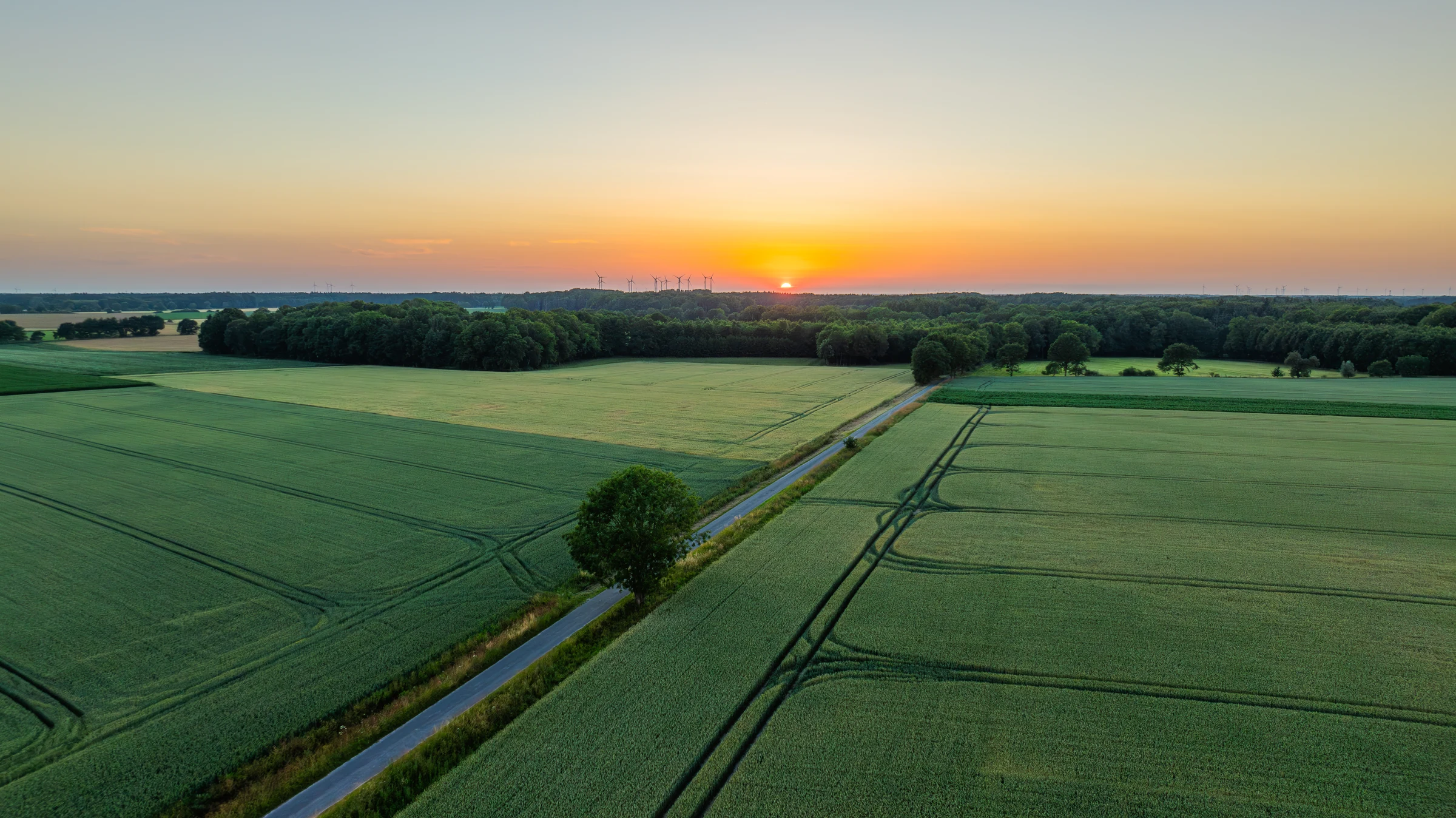 Drohnenaufnahme grüner Felder bei Sonnenuntergang